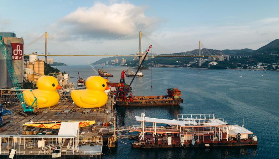 荷蘭藝術家 Florentijn Hofman的大鴨來了! 「巨型黃色小鴨」又驚喜現身，香港人你準備好了嗎？